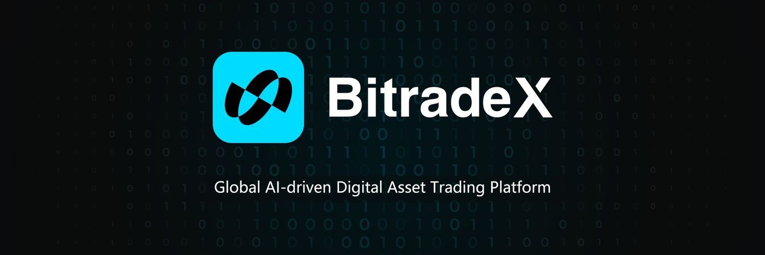 Bitradex exchange login dashboard showing secure cryptocurrency trading interface