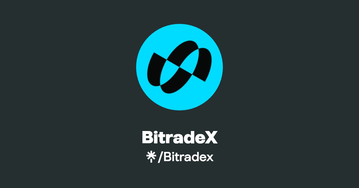 Bitradex exchange user testimonials and reviews about login experience